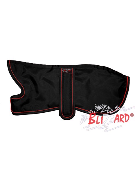 Black Italian Greyhound Blizzard® Coat With Red Piping